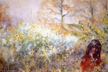 Slanbuskar Slanbuskar